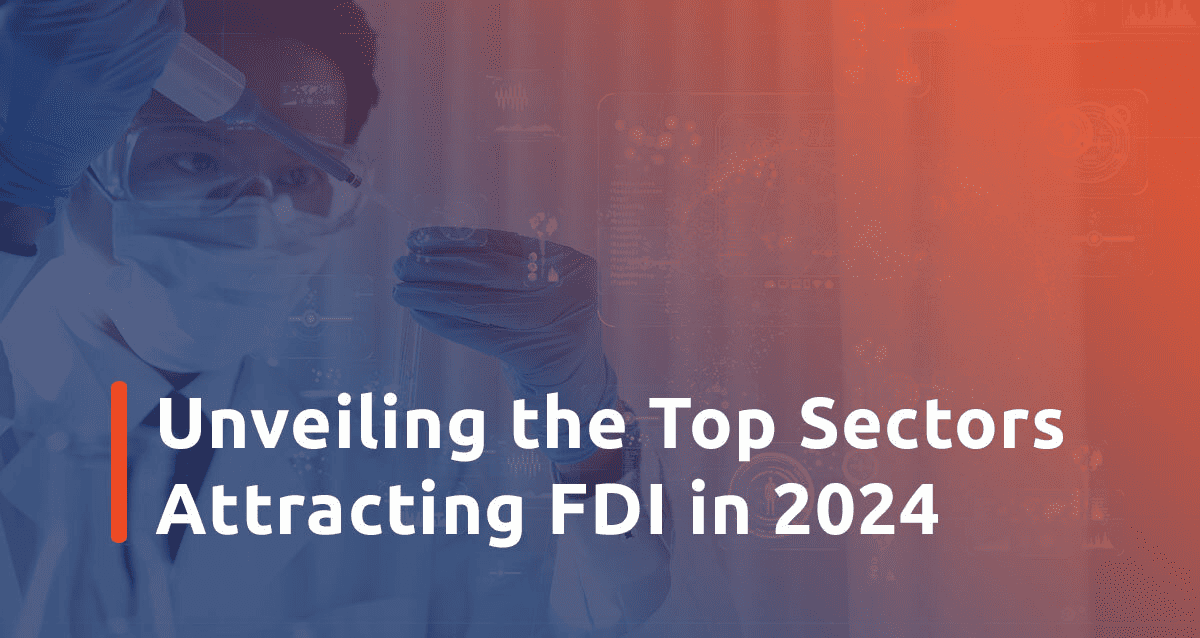 Featured image for Unveiling the Top Sectors Attracting FDI in 2024 